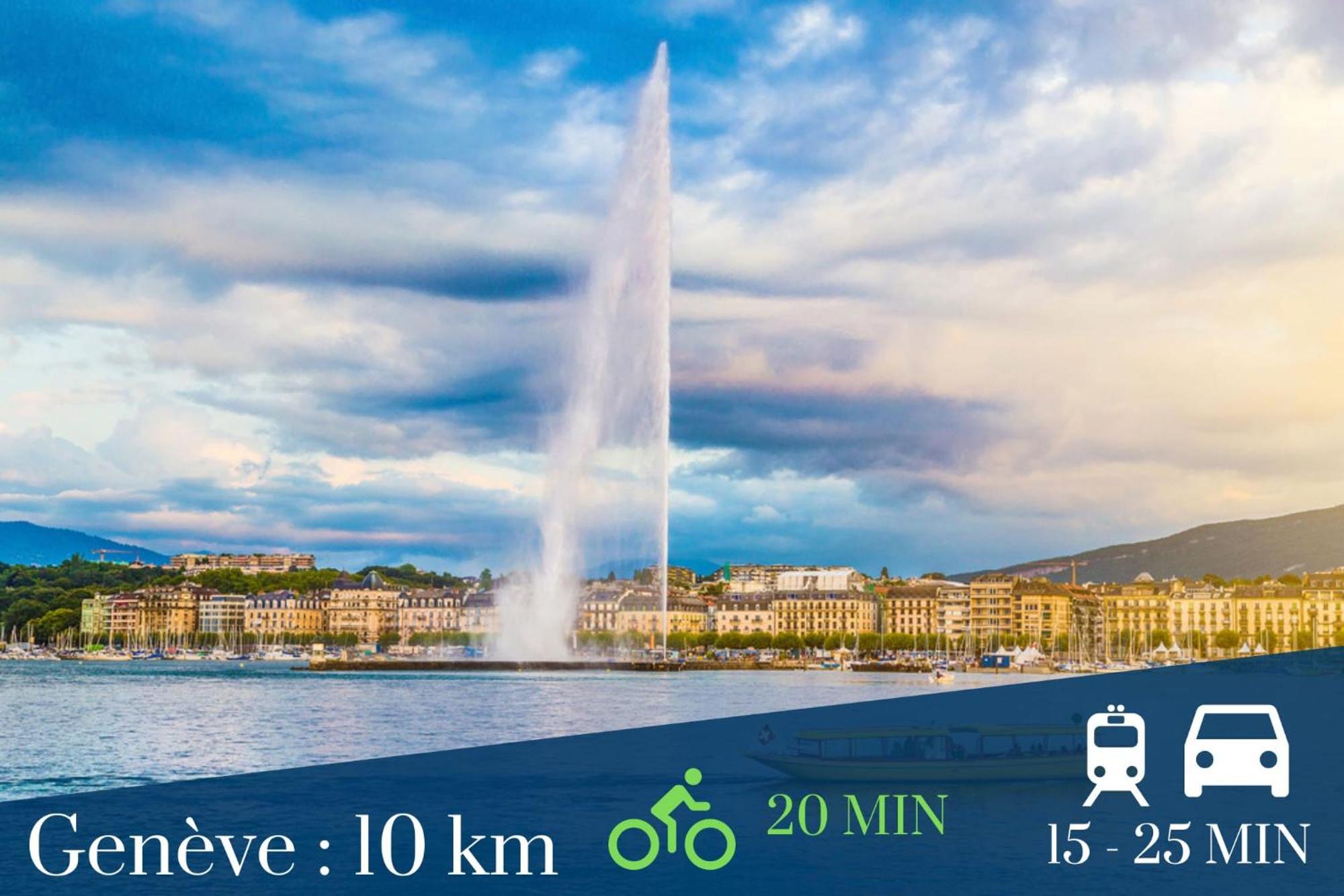 Homey Keola - Parking Prive Gratuit - Aux Portes De Geneve - Au Pied Du Tram - Appartement Avec 1 Chambre Et Un Grand Salon Avec Un Canape-Lit Амбиёи Экстерьер фото